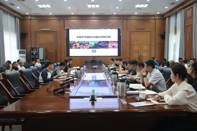 平城区召开乡村建设座谈会