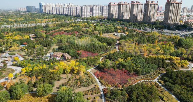 砥砺前行结硕果 平城发展谱新篇